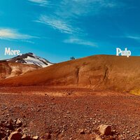 Pulp - More vinyl cover