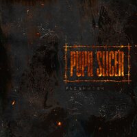 Pupil Slicer - Fleshwork vinyl cover