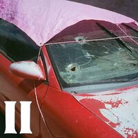 Pure Adult - Ii vinyl cover