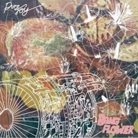Pure Joy - Pure Joy vinyl cover