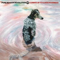 Pure Reason Revolution - Coming Up To Consciousness vinyl cover