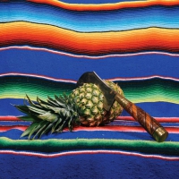 Purple - Bodacious vinyl cover