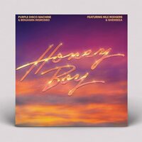 Purple Disco Machine - Honey Boy vinyl cover