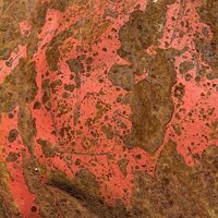 Purple Trap (Laswell,Haino,Ali) - The Stone vinyl cover