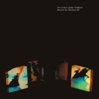 Pye Corner Audio / Dalhous - Run For The Shadows vinyl cover