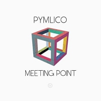 Pymlico - Meeting Point vinyl cover
