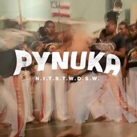 PYNUKA - N.I.T.S.T.W.D.S.W. vinyl cover