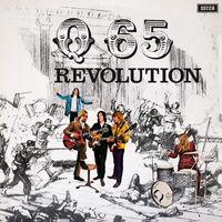 Q 65 - Revolution vinyl cover