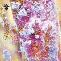 QOA - SAUCO vinyl cover