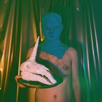 Qual - The Ultimate Climax vinyl cover