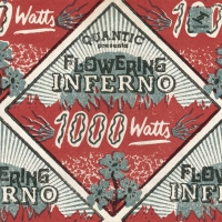 Quantic - 1000 Watts vinyl cover
