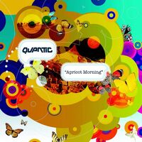 Quantic - Apricot Morning vinyl cover