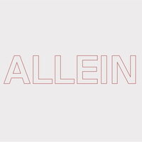 Quarks - Allein vinyl cover
