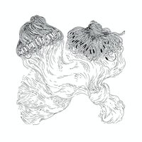 Quartabe - licao No. 2: dorival vinyl cover