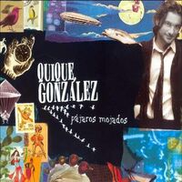 Quique González - Pajaros Mojados vinyl cover