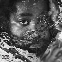 R.lum.r - Surfacing (Explicit Lyrics) vinyl cover