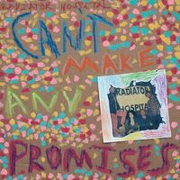 Radiator Hospital - Can't Make Any Promises vinyl cover