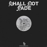 Radio Cargo - Like You Move vinyl cover