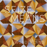 Radio Wonderland - Seize The Means vinyl cover