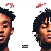 Rae Sremmurd - Sremmlife vinyl cover