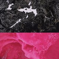 Rafiq Bhatia - Breaking English vinyl cover