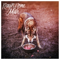 Rag'n'bone Man - Wolves vinyl cover
