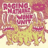 Raging Nathans / Wonk Unit - Raging Nathans / Wonk Unit vinyl cover