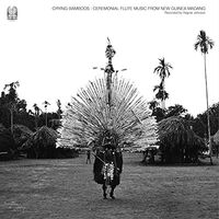 Ragnar Johnson - Crying Bamboos vinyl cover