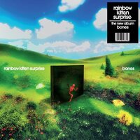 Rainbow Kitten Surprise - bones vinyl cover
