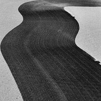 Rainer Veil - Vanity vinyl cover