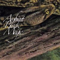 Rainforest Spiritual Enslavement - Ambient Black Magic vinyl cover