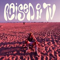 Raised On Tv - Strangers In Pictures vinyl cover