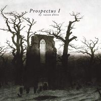 Raison D'etre - Prospectus I vinyl cover
