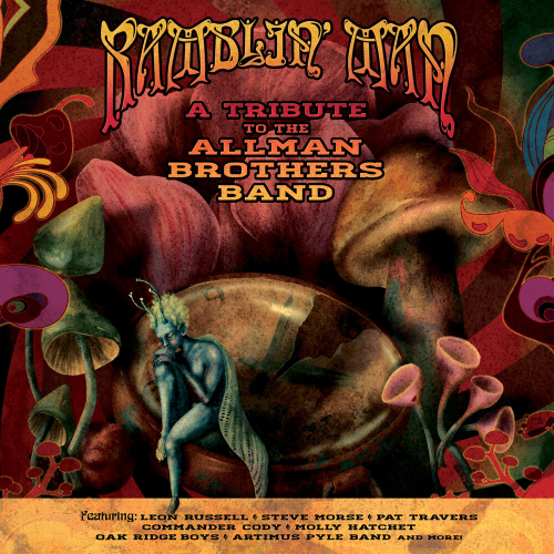 VA - Ramblin' Man (Tribute To The Allman Brothers Band) vinyl cover