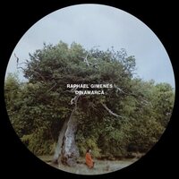 Raphael Gimenes - Dinamarca vinyl cover