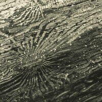 Raphael Rogiński - Talàn vinyl cover