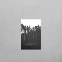 Raum - Cursed By The Crown vinyl cover
