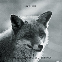 Ravjunk - Uppsala Stadshotell Brinner vinyl cover
