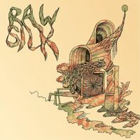 Raw Silk - Raw Silk vinyl cover