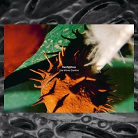 Rawfishboys - White Storline vinyl cover