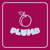 Ray Angry - Plumb vinyl cover