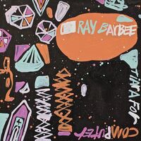 Ray Barbee - Tiara For Computer vinyl cover