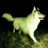 Real Farmer - Compare What's There (Fluorescent Green) vinyl cover