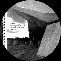 Rebar - Hansaprohlis vinyl cover