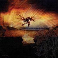 Rebecca Foon - Waxing Moon vinyl cover