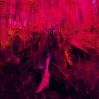 Rebel Wizard - Magickal Mystical Indifference vinyl cover