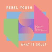 Rebel Youth - What Is Soul? 30Th Anniversary Remixes vinyl cover