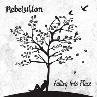 Rebelution - Falling Into Place vinyl cover