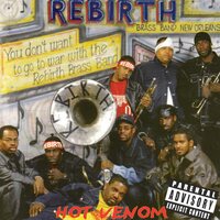 Rebirth Brass Band - Hot Venom vinyl cover