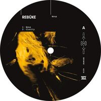 Rebuke - Wasp vinyl cover